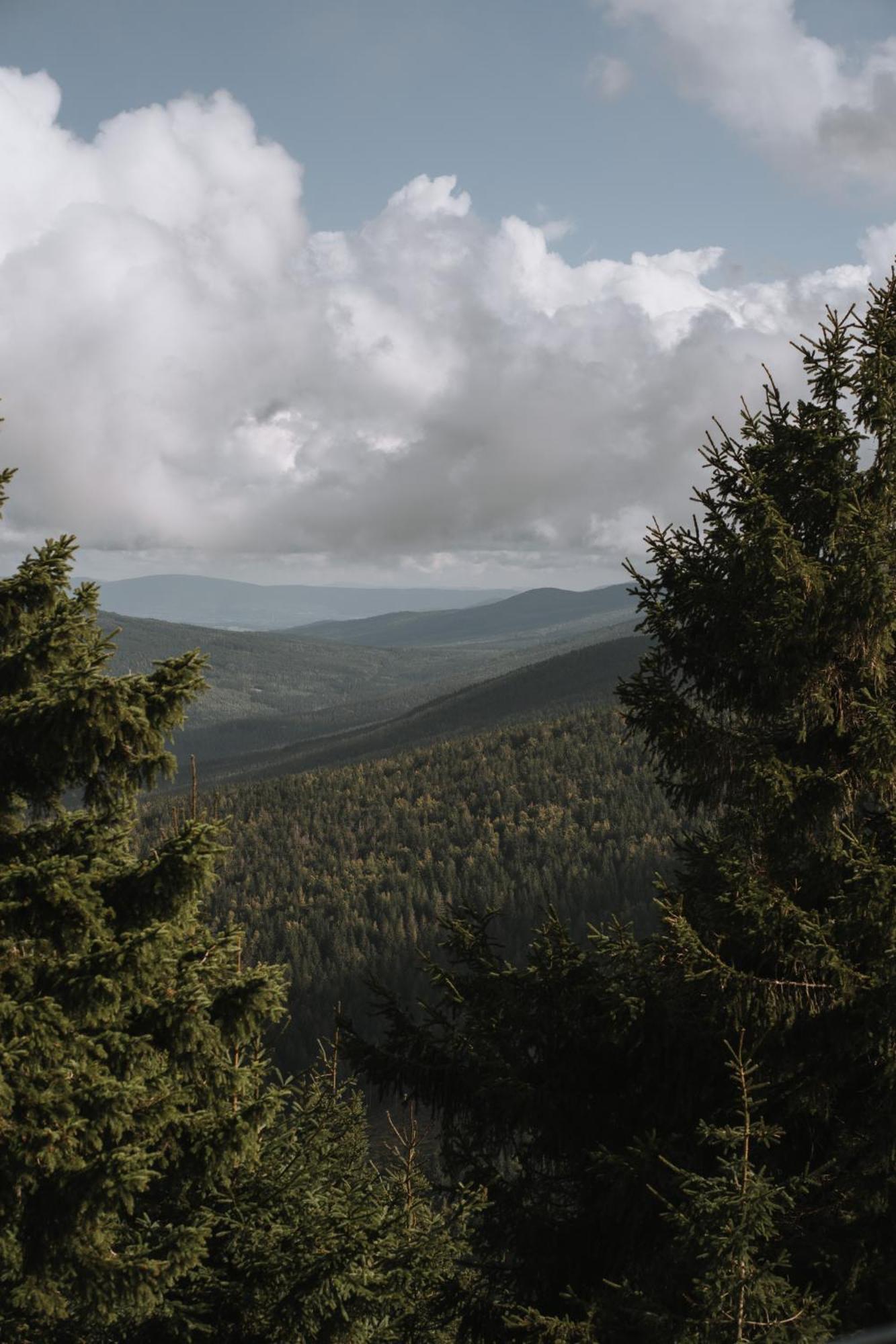 Forest Park Resort & Spa Swieradow-Zdroj Bagian luar foto