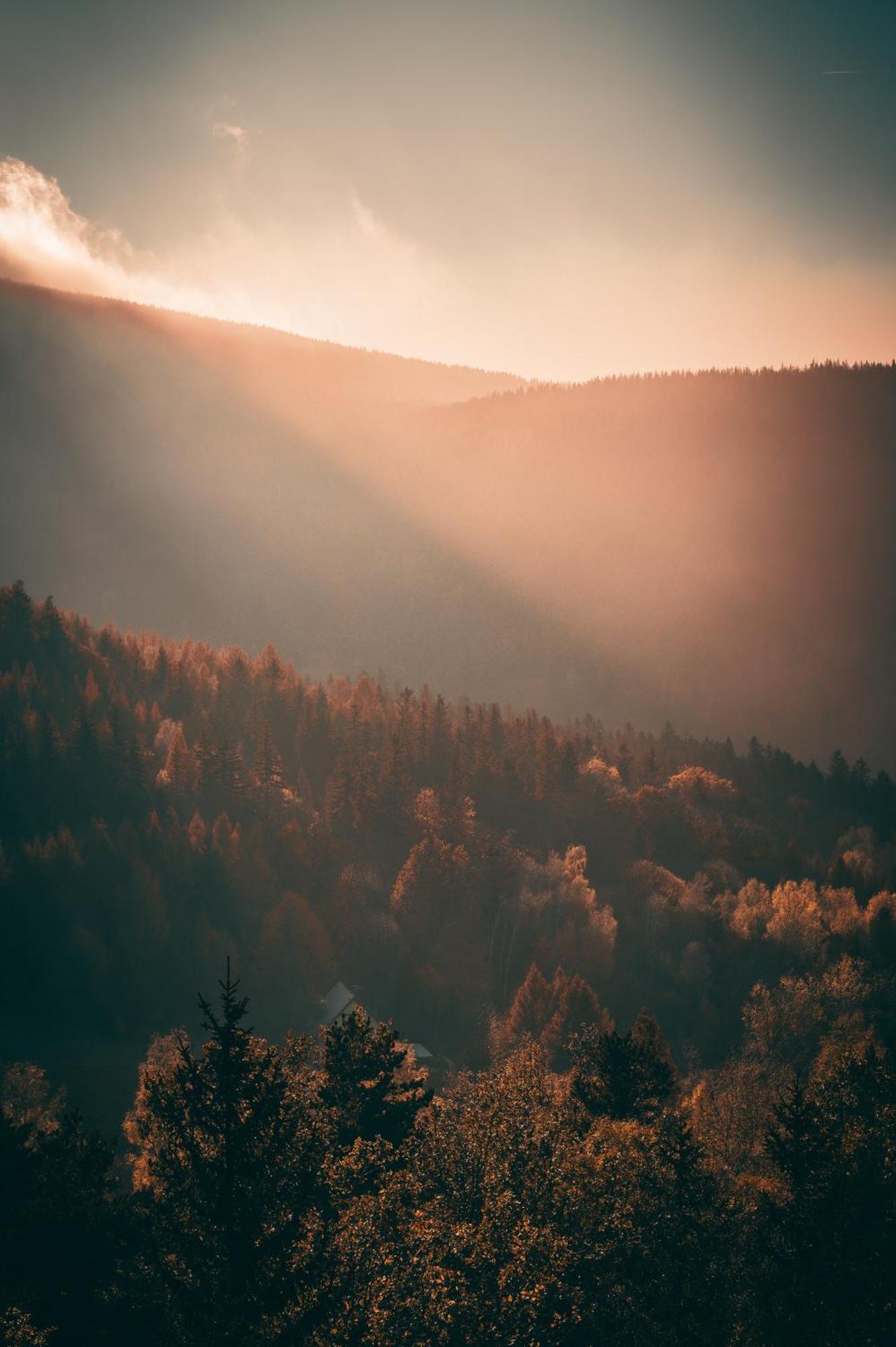 Forest Park Resort & Spa Swieradow-Zdroj Bagian luar foto