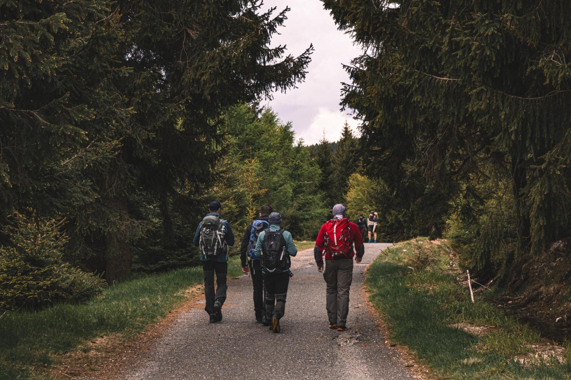 Forest Park Resort & Spa Swieradow-Zdroj Bagian luar foto